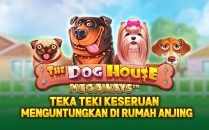 The Dog House : Teka teki Keseruan Menguntungan di Rumah Anjing
