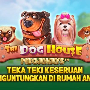 The Dog House : Teka teki Keseruan Menguntungan di Rumah Anjing